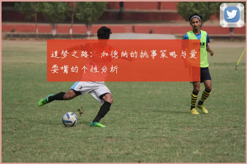 追梦之路：加德纳的挑事策略与爱耍嘴的个性分析