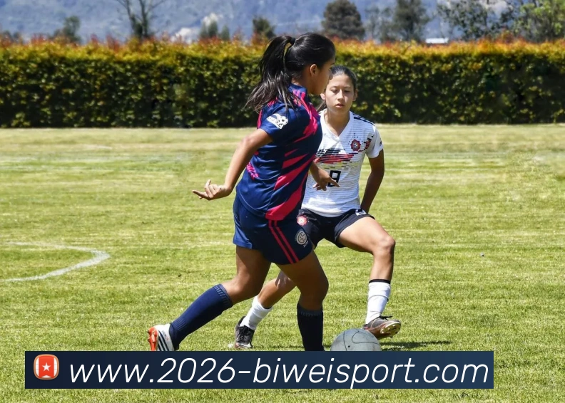 必威体育APP 高清赛事图